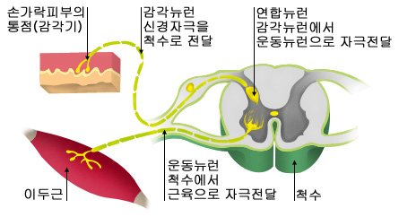 의약품 이미지